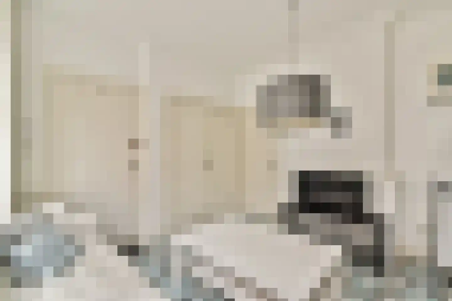 Boomstraat 54 Amsterdam thumbnail 7
