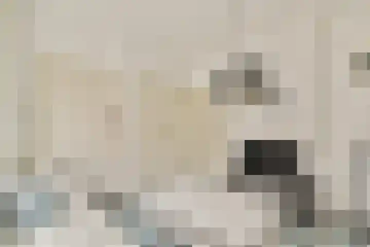 Boomstraat 54 Amsterdam thumbnail 7
