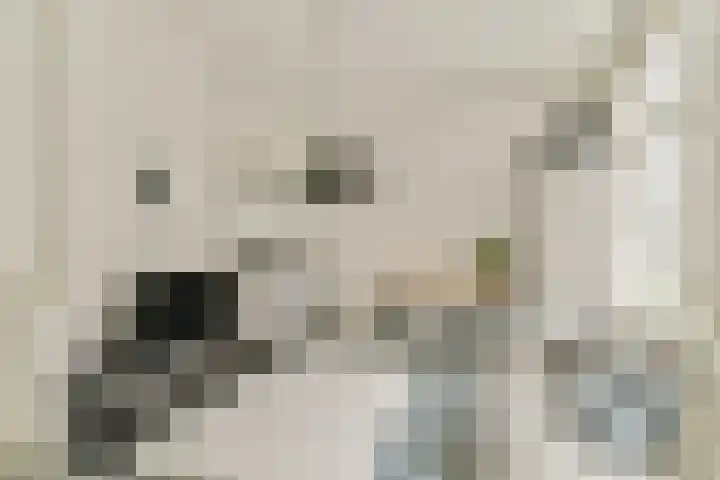 Boomstraat 54 Amsterdam thumbnail 8