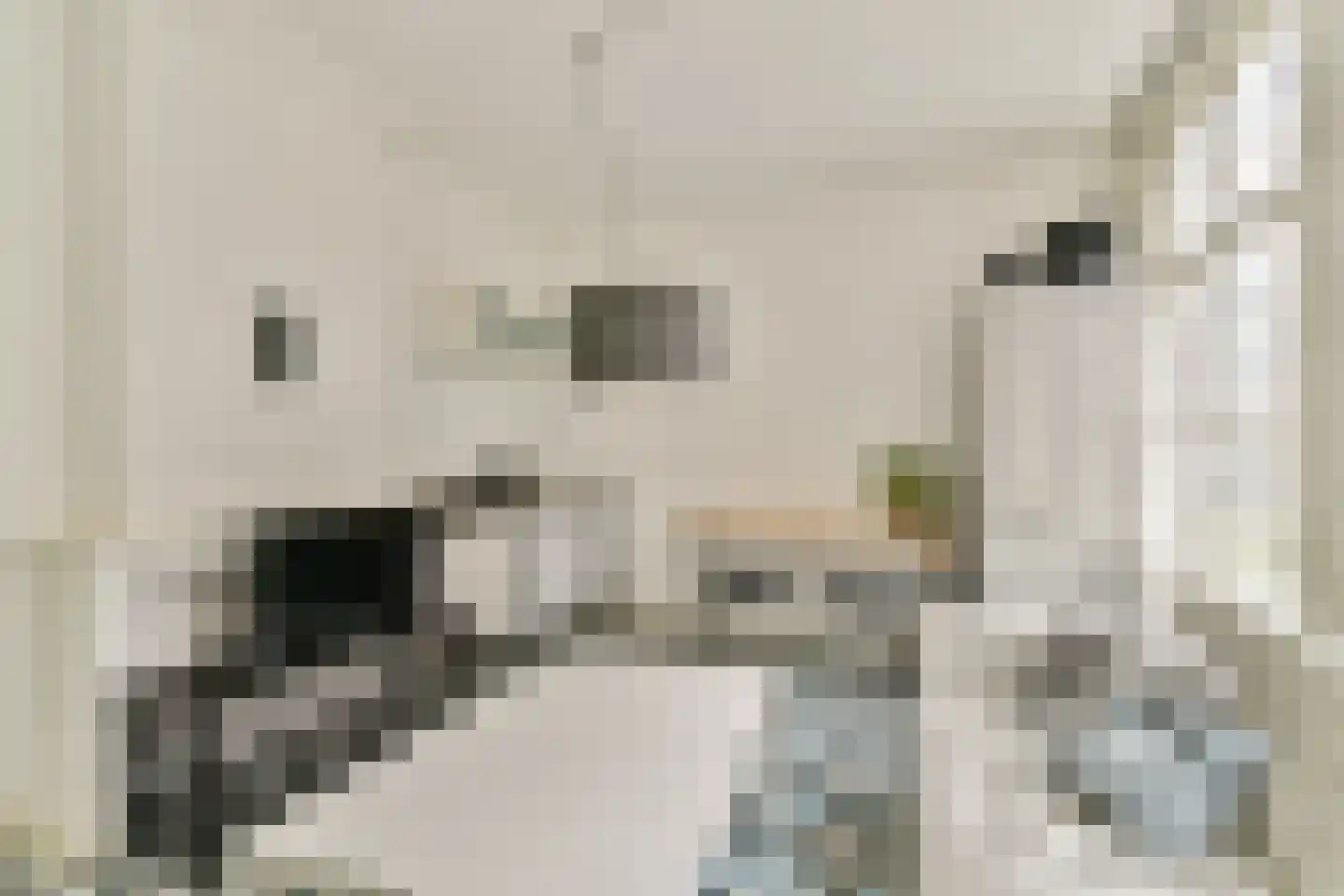 Boomstraat 54 Amsterdam thumbnail 8