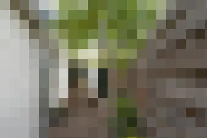 Boomstraat 62 Tilburg thumbnail 29