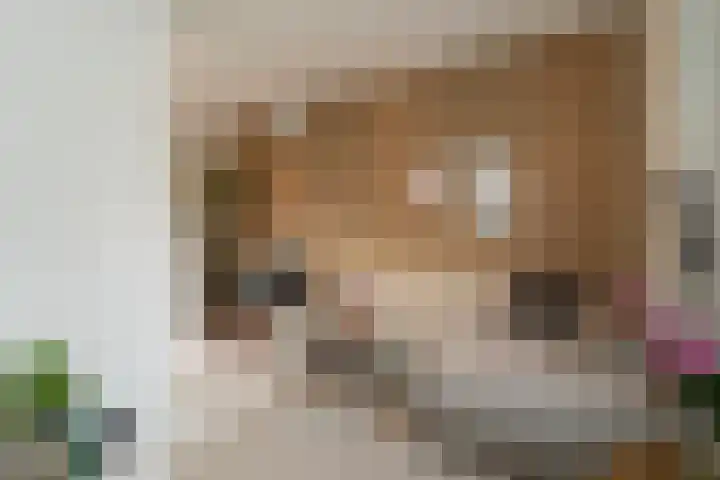 Boomstraat 62 Tilburg thumbnail 6