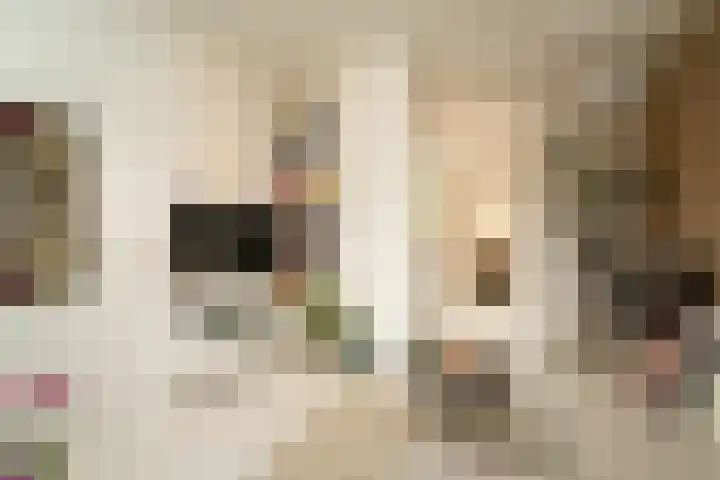 Boomstraat 62 Tilburg thumbnail 8