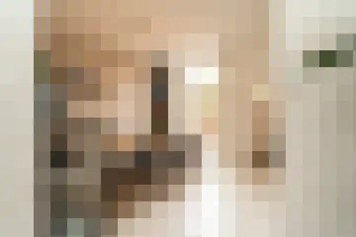 Boomstraat 62 Tilburg thumbnail 9