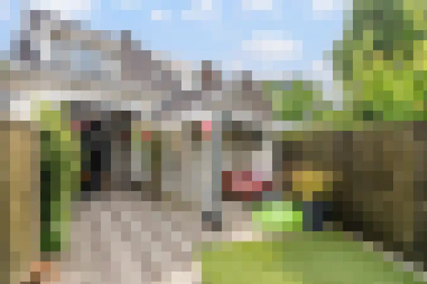 Boomstraat 64 Tilburg thumbnail 34