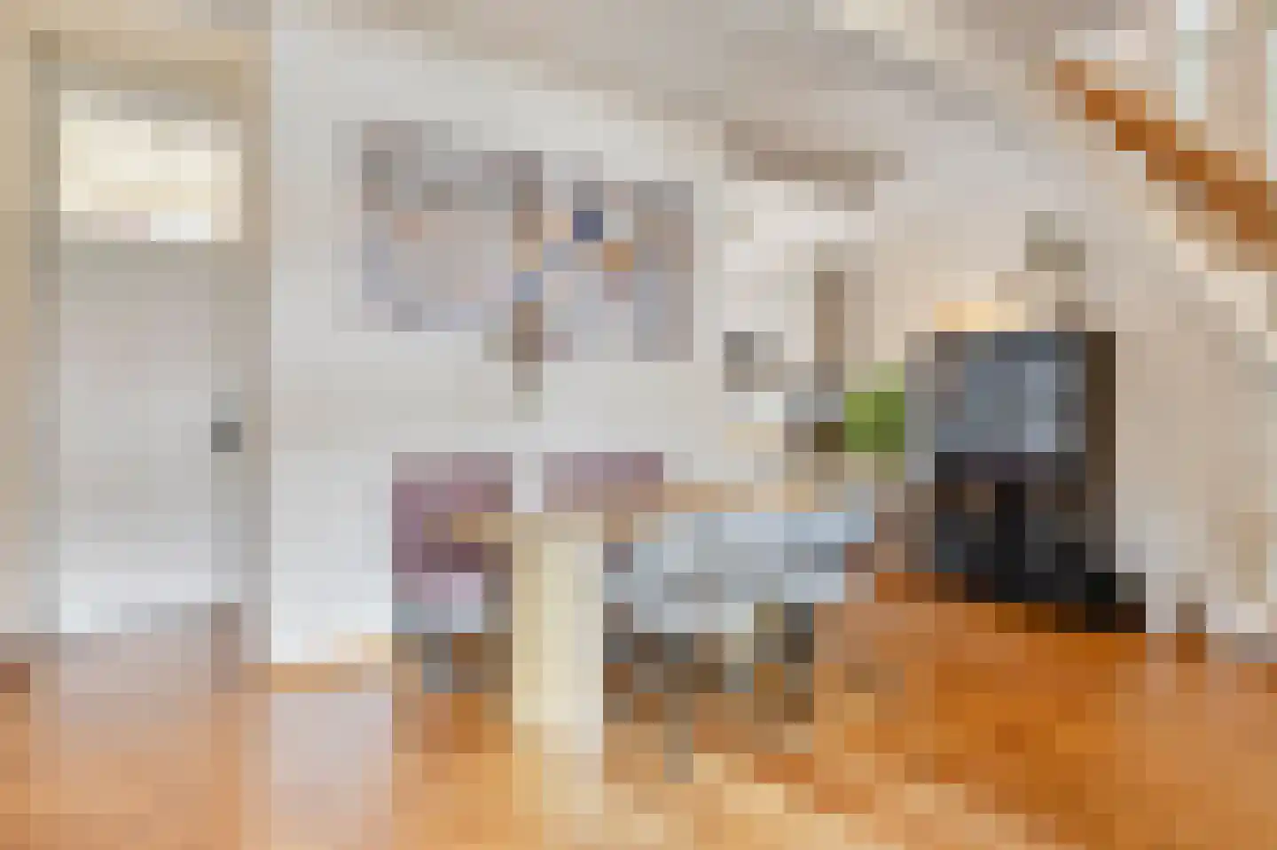 Boomstraat 64 Tilburg thumbnail 4
