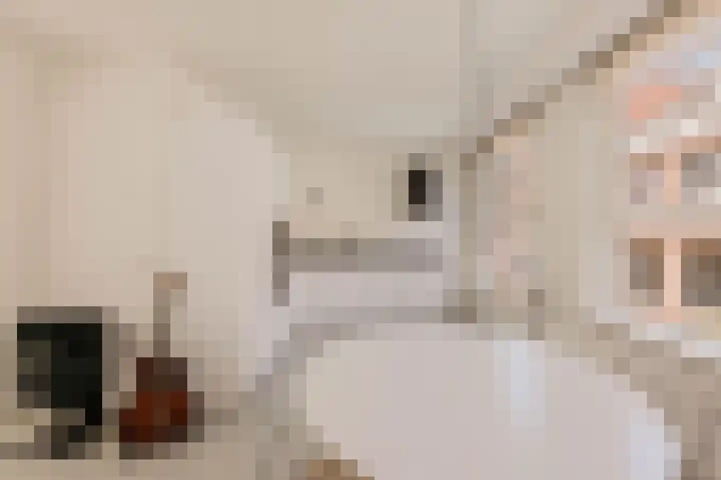 Boomstraat 67 Amsterdam thumbnail 11