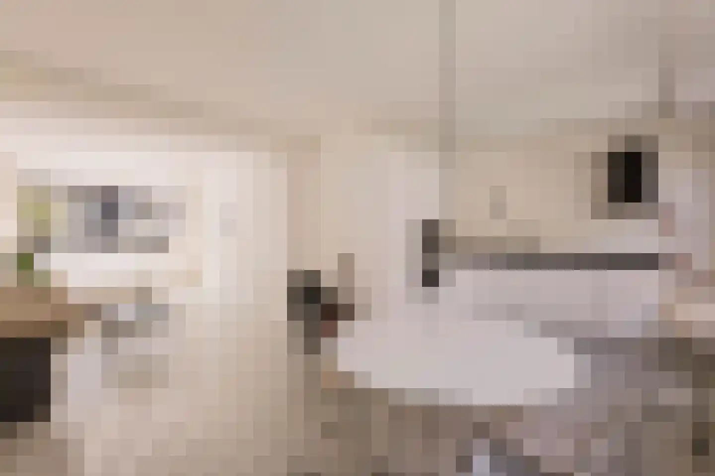 Boomstraat 67 Amsterdam thumbnail 5