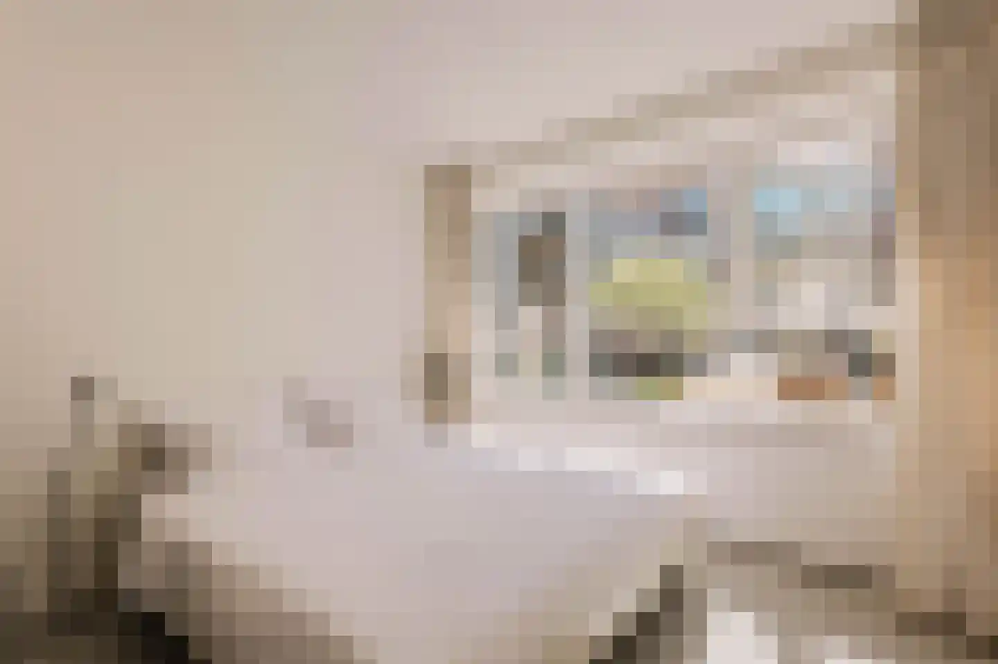 Boomstraat 67 Amsterdam thumbnail 8