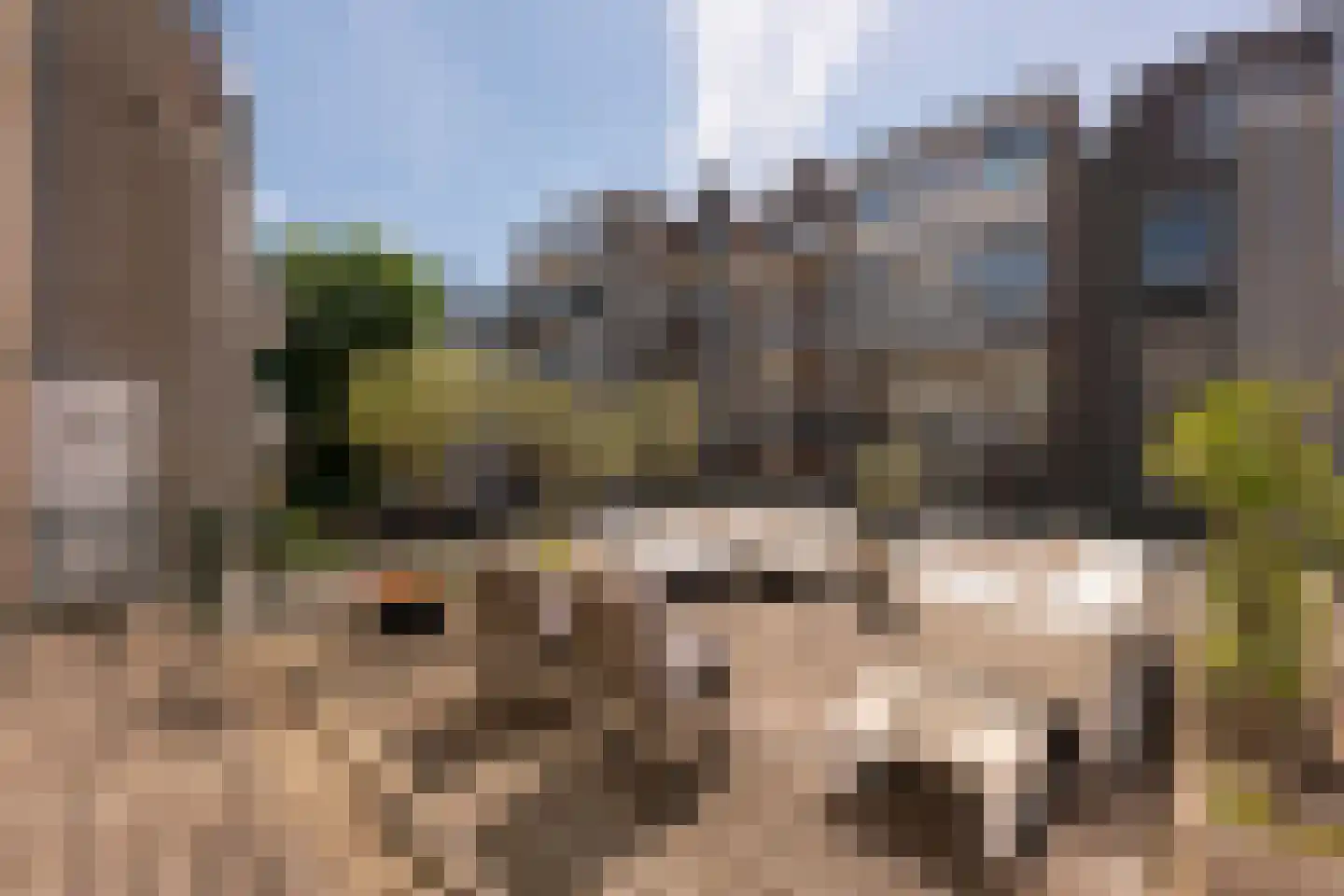 Boomstraat 67 Amsterdam thumbnail 9
