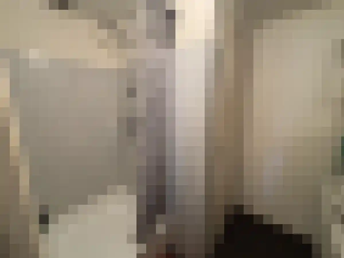 Boomstraat 68 Tilburg thumbnail 4