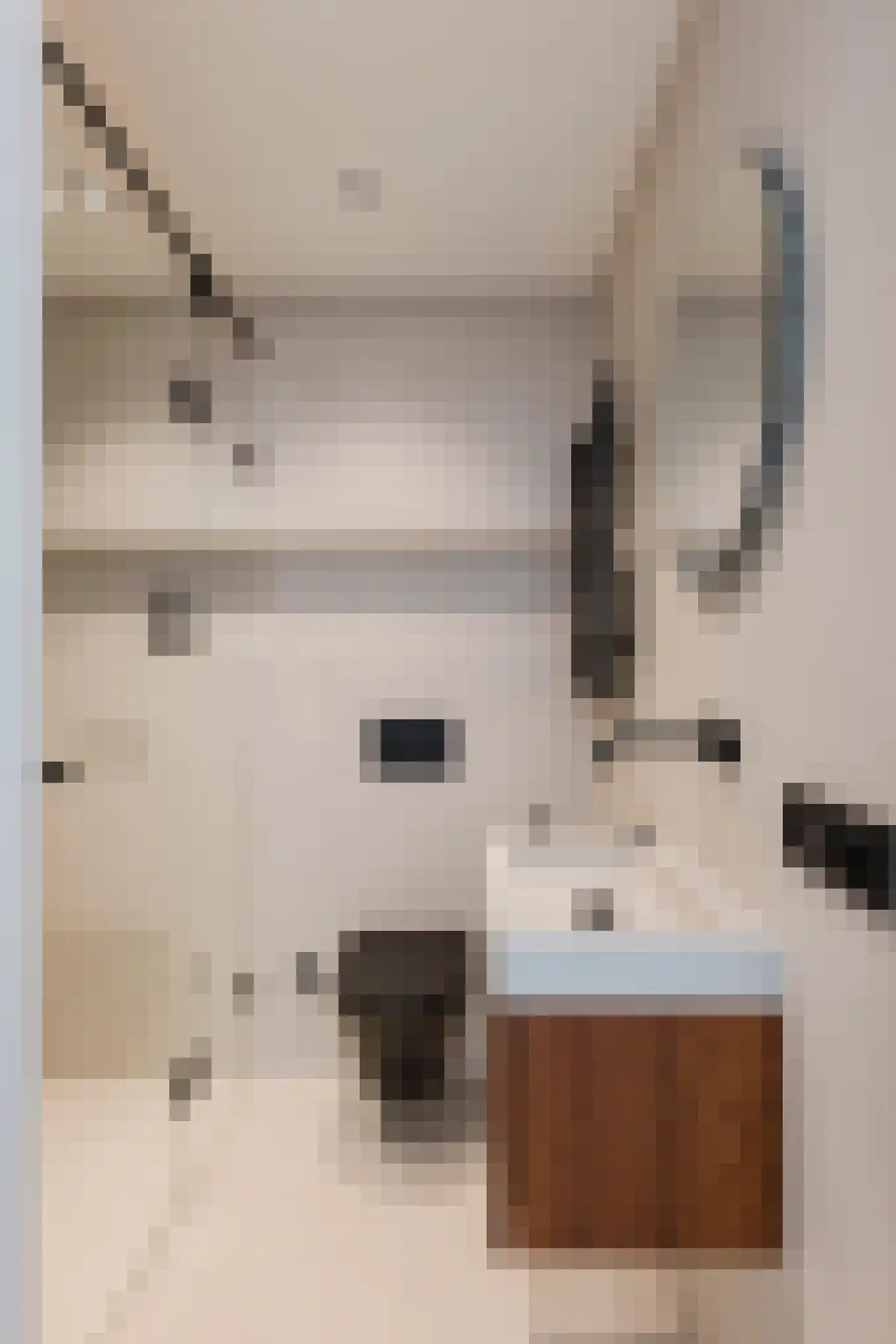 Boomstraat 69 Amsterdam thumbnail 12