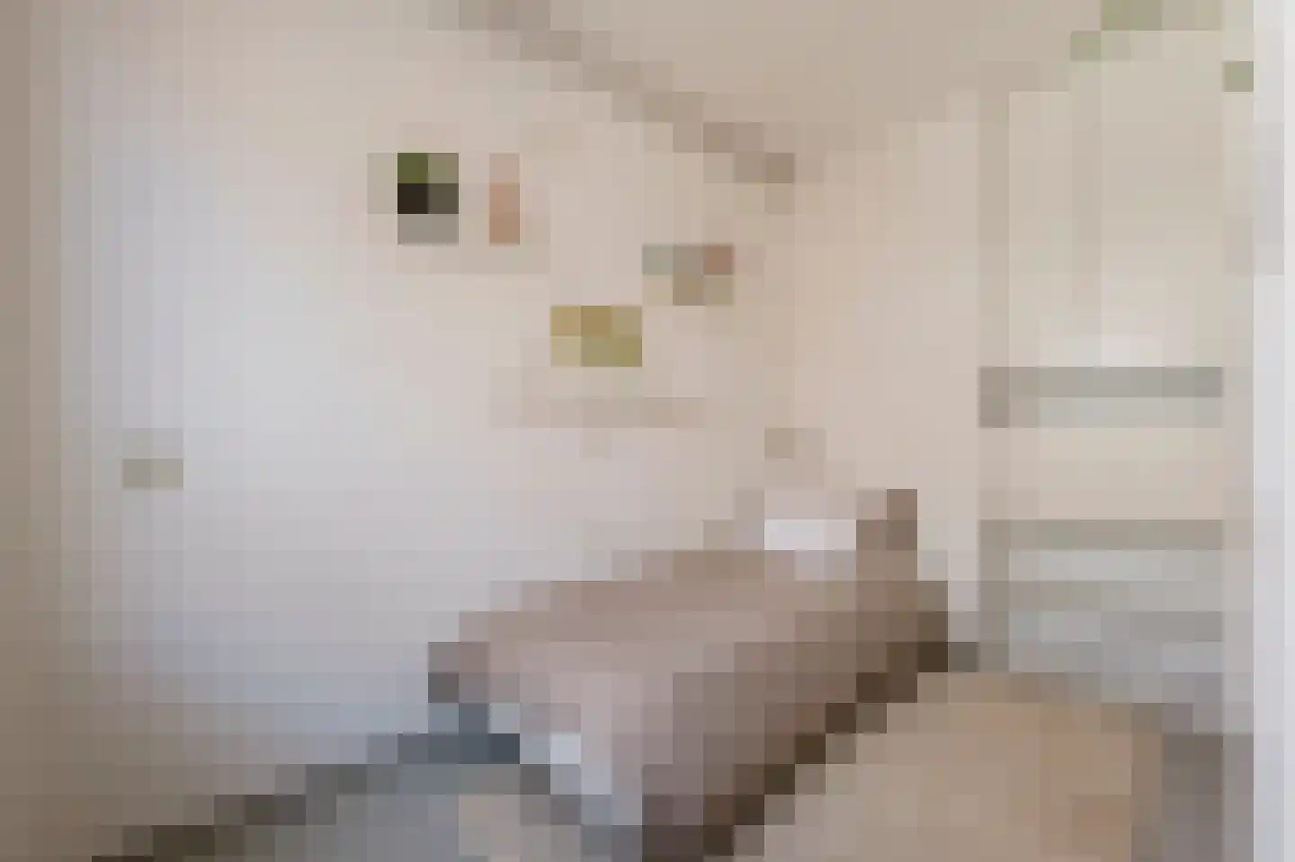 Boomstraat 69 Amsterdam thumbnail 13