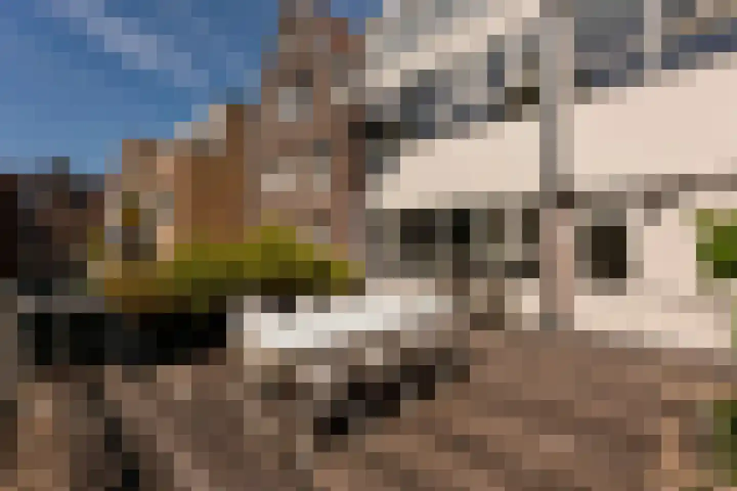 Boomstraat 69 Amsterdam thumbnail 15
