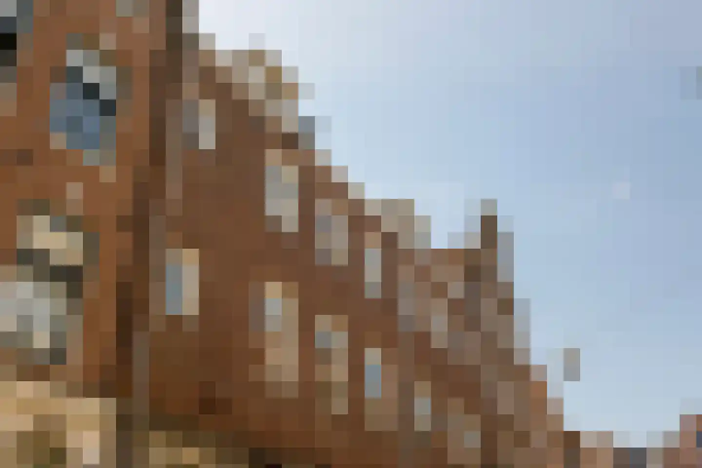 Boomstraat 69 Amsterdam thumbnail 17