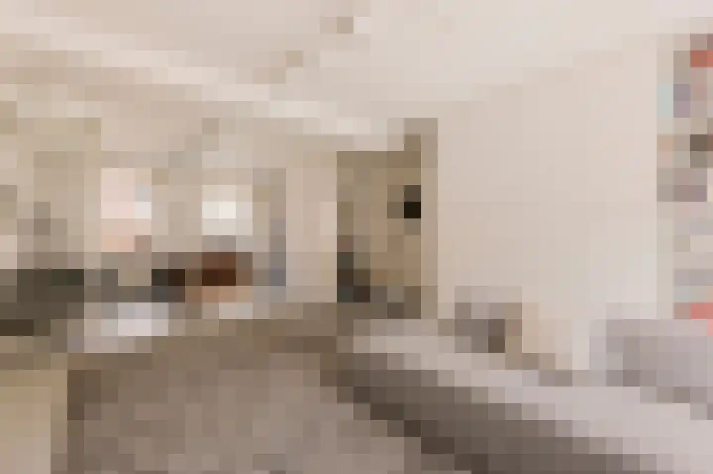 Boomstraat 69 Amsterdam thumbnail 6