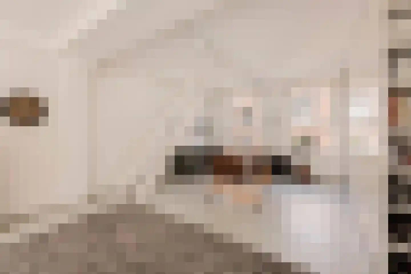 Boomstraat 69 Amsterdam thumbnail 7