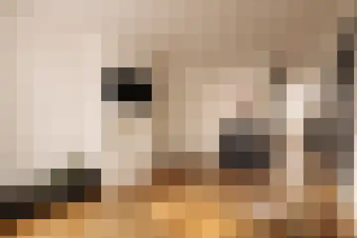 Boomstraat 7 H Amsterdam thumbnail 7
