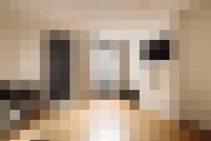 Boomstraat 7 H Amsterdam thumbnail 8