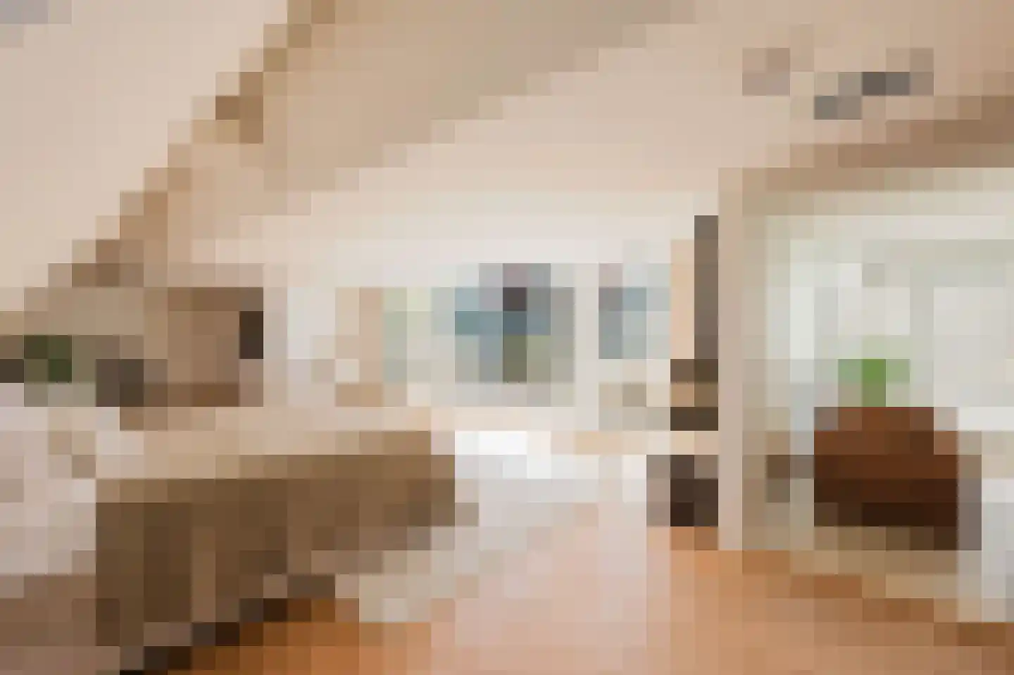 Boomstraat 71 Amsterdam thumbnail 4