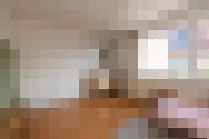 Boomstraat 77 Tilburg thumbnail 35