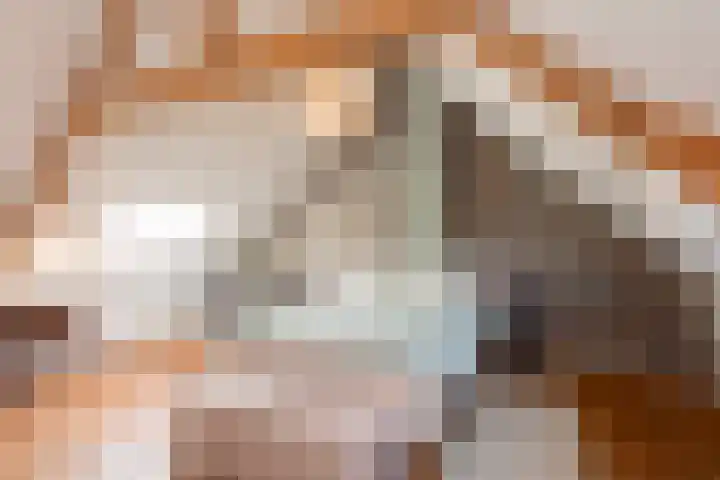 Boomstraat 77 Tilburg thumbnail 4