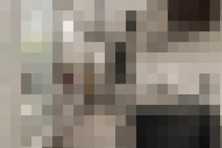 Boomstraat 9 Amsterdam thumbnail 12