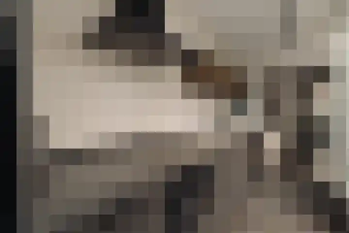 Boomstraat 9 Amsterdam thumbnail 14