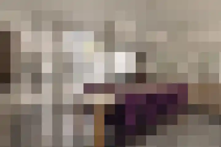 Boomstraat 9 Amsterdam thumbnail 17