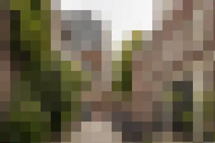 Boomstraat 9 Amsterdam thumbnail 31