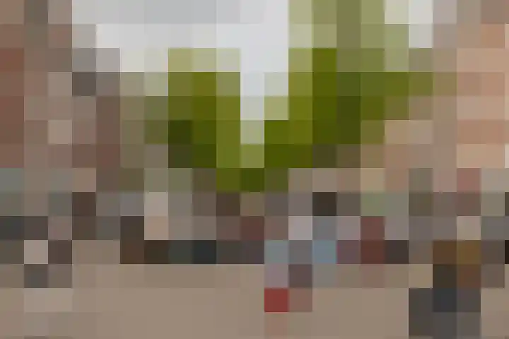 Boomstraat 9 Amsterdam thumbnail 32