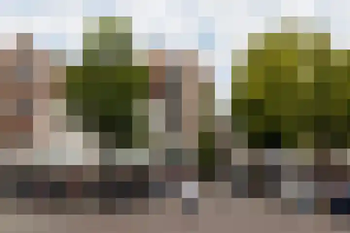 Boomstraat 9 Amsterdam thumbnail 33