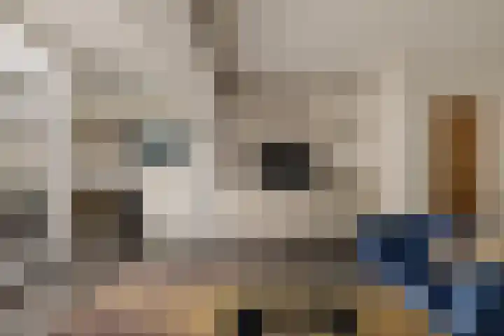 Boomstraat 9 Amsterdam thumbnail 8