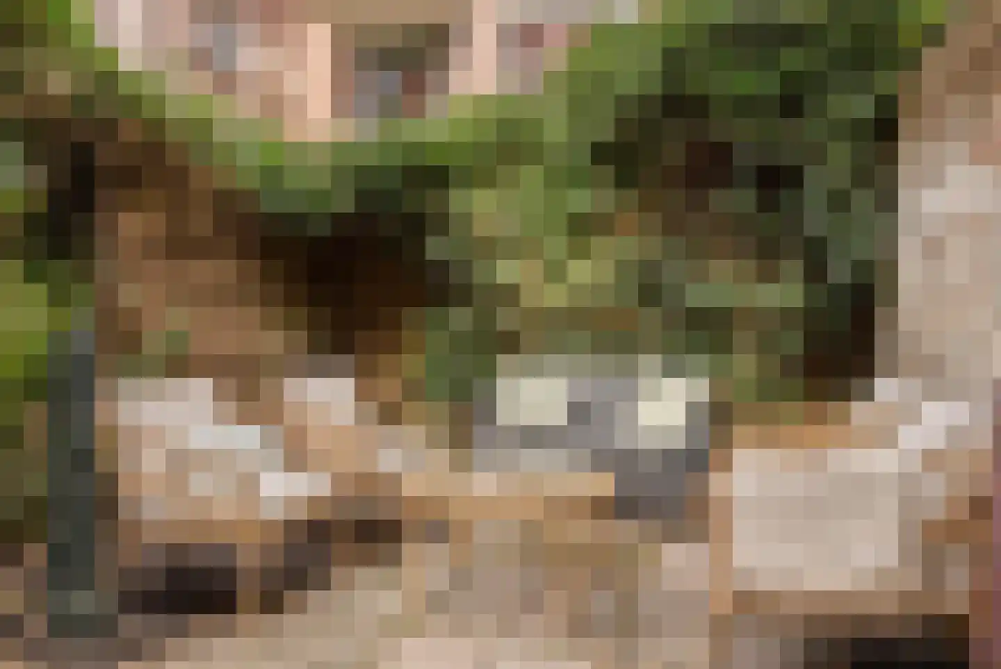 Boomstraat 92 Amsterdam thumbnail 11