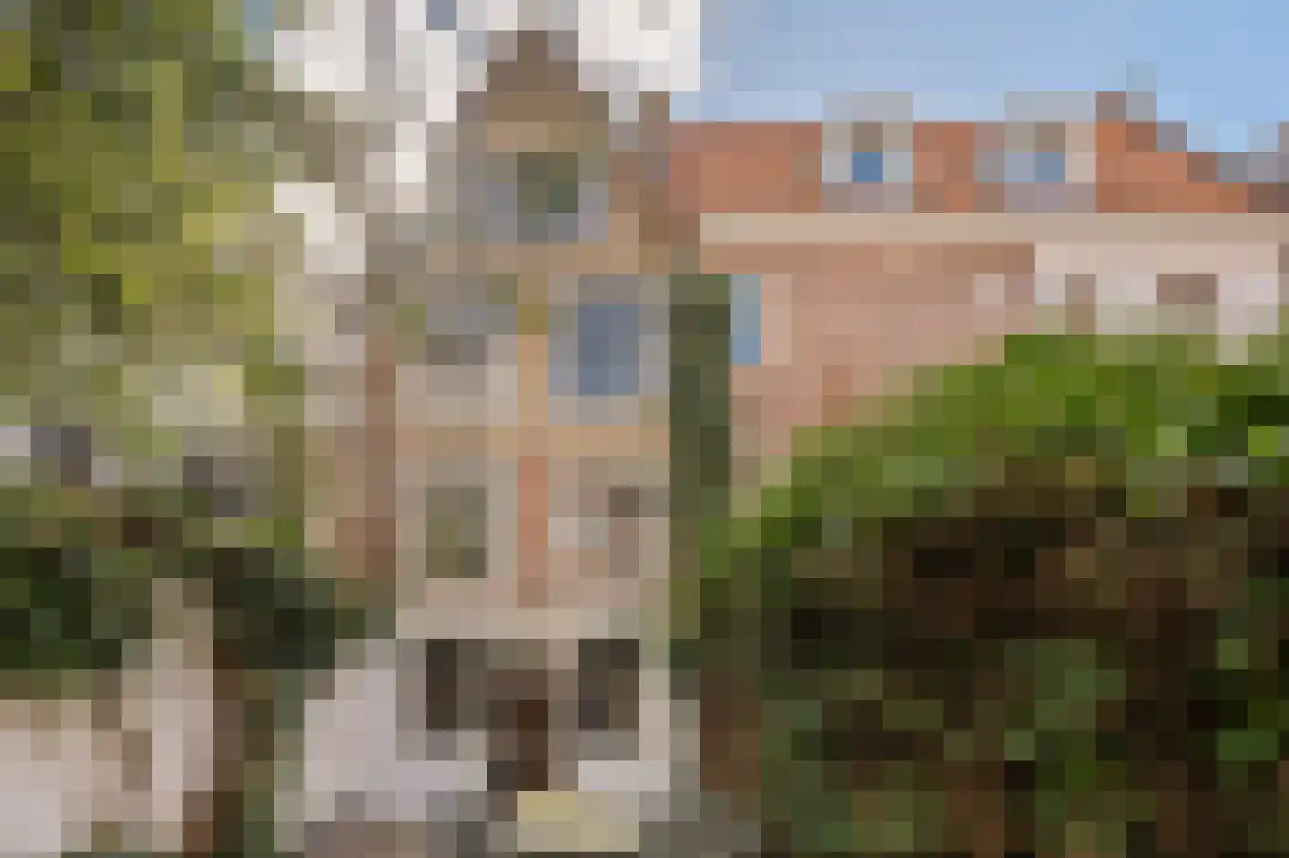Boomstraat 92 Amsterdam thumbnail 12