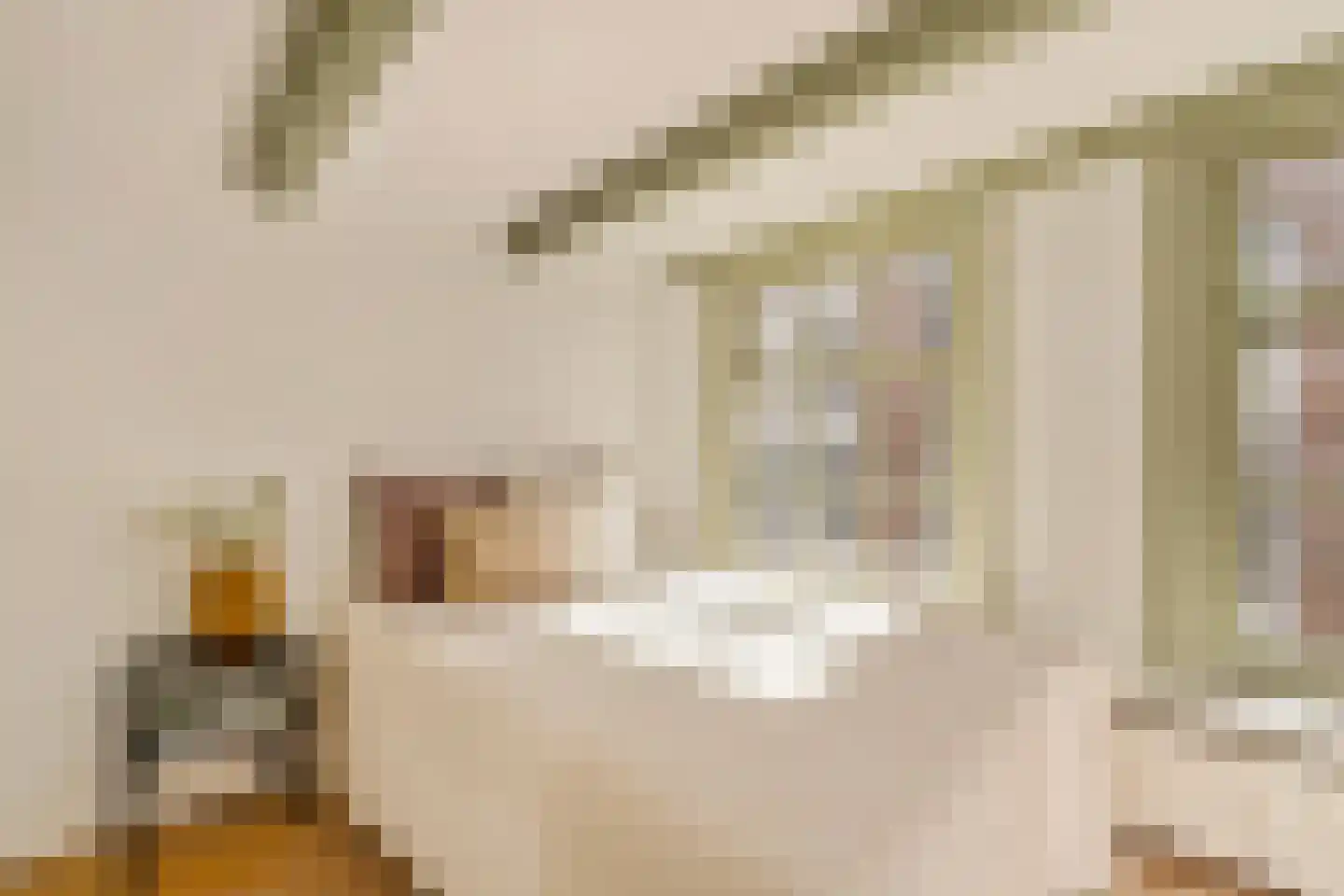 Boomstraat 92 Amsterdam thumbnail 18