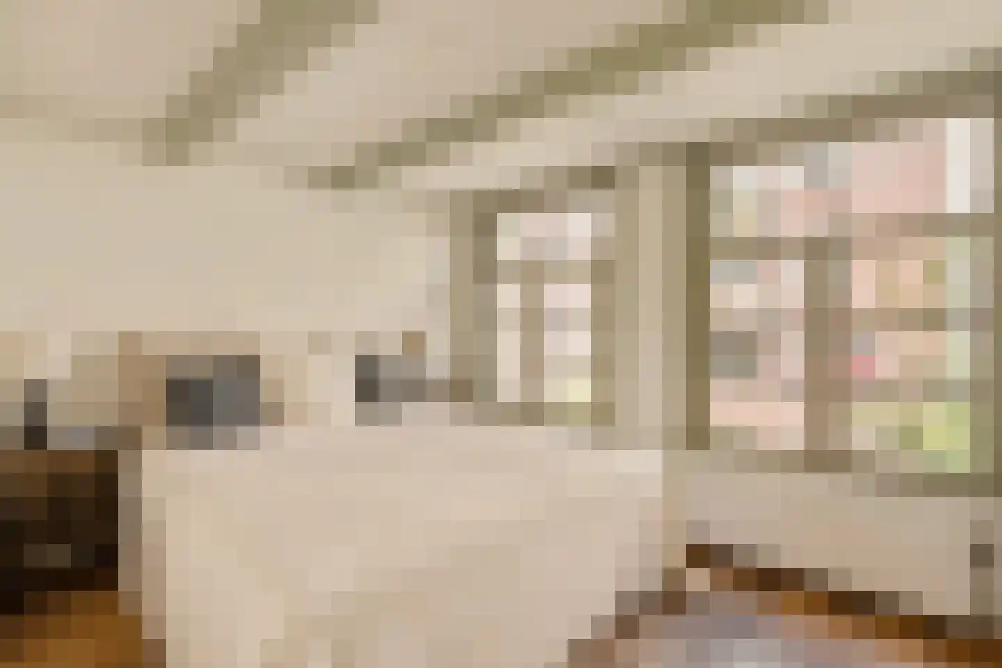 Boomstraat 92 Amsterdam thumbnail 20