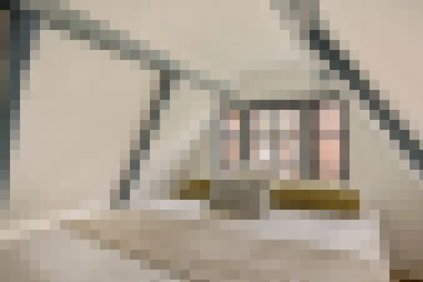 Boomstraat 92 Amsterdam thumbnail 24