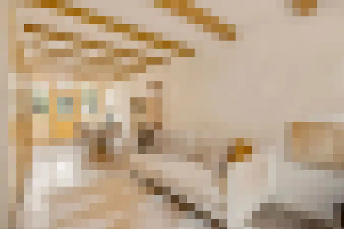 Boomstraat 92 Amsterdam thumbnail 4