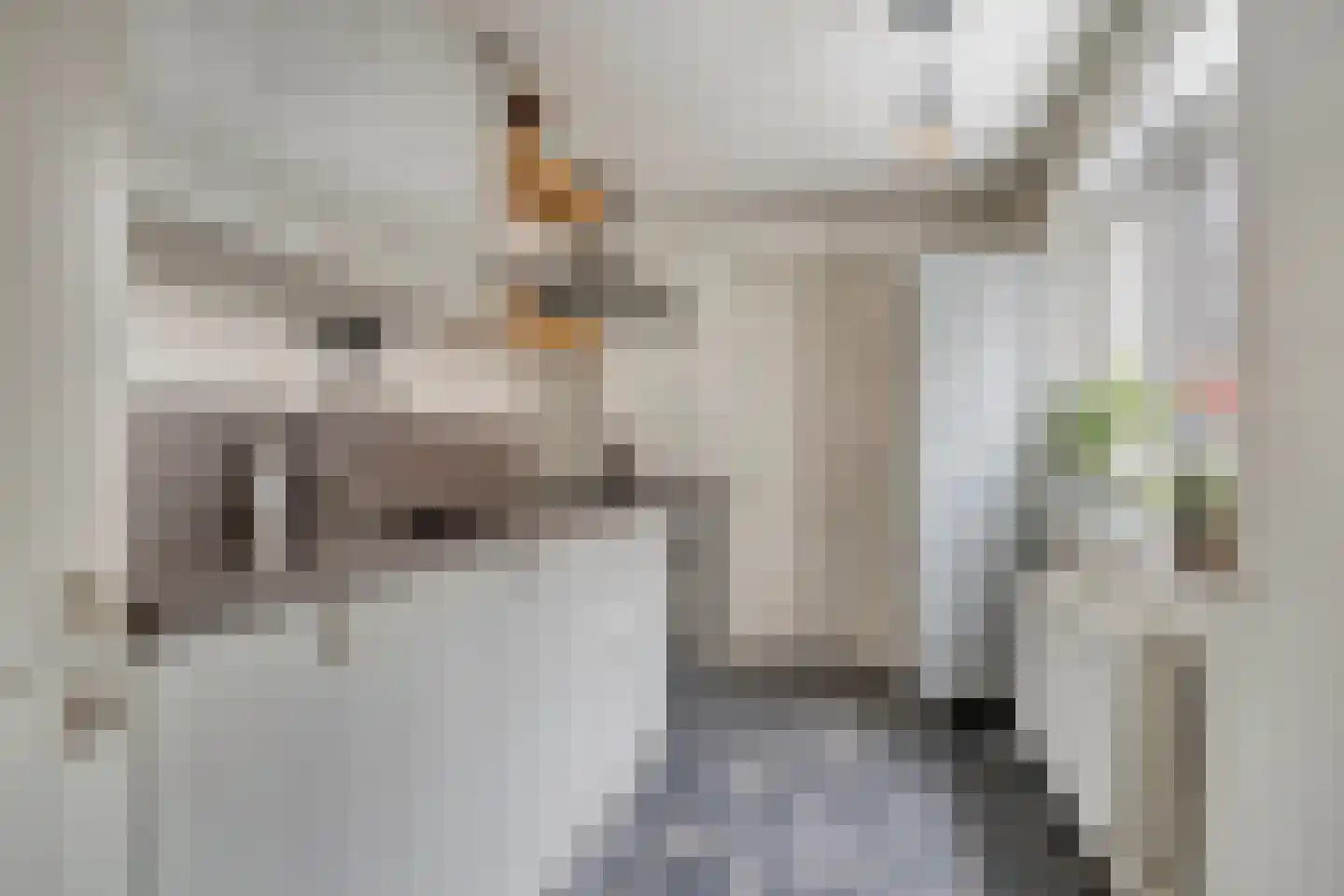 Boomstraat 94 Tilburg thumbnail 11