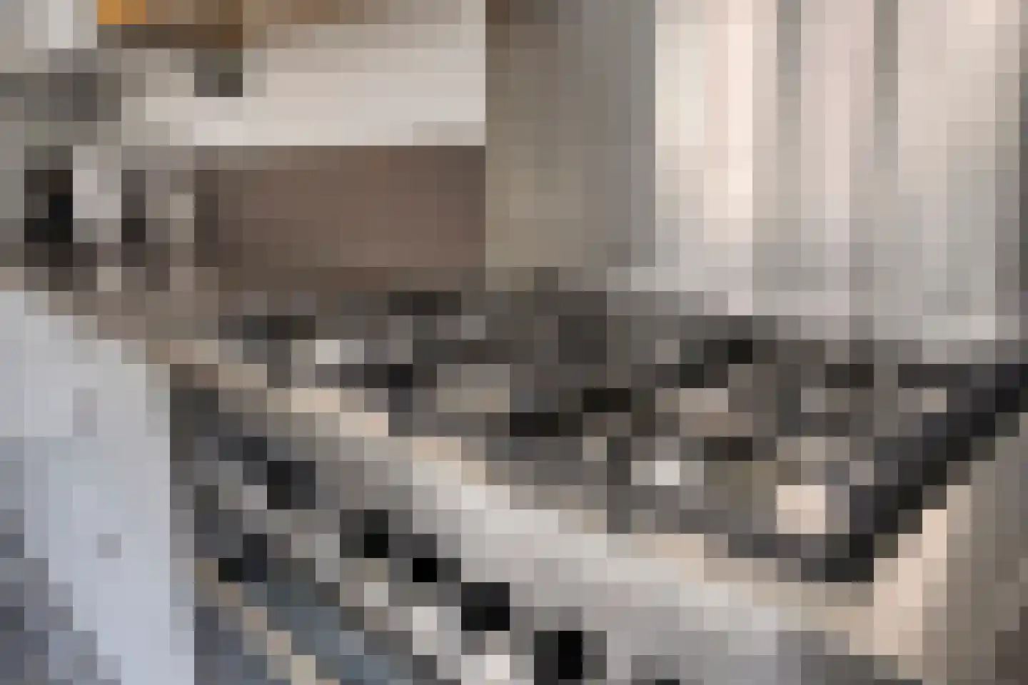 Boomstraat 94 Tilburg thumbnail 14