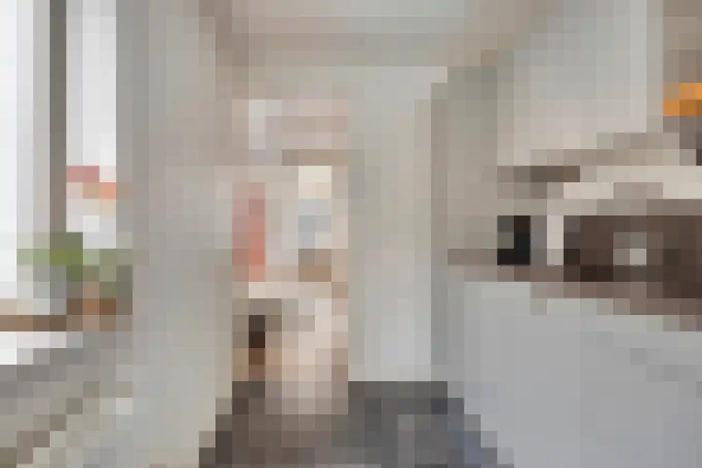 Boomstraat 94 Tilburg thumbnail 15