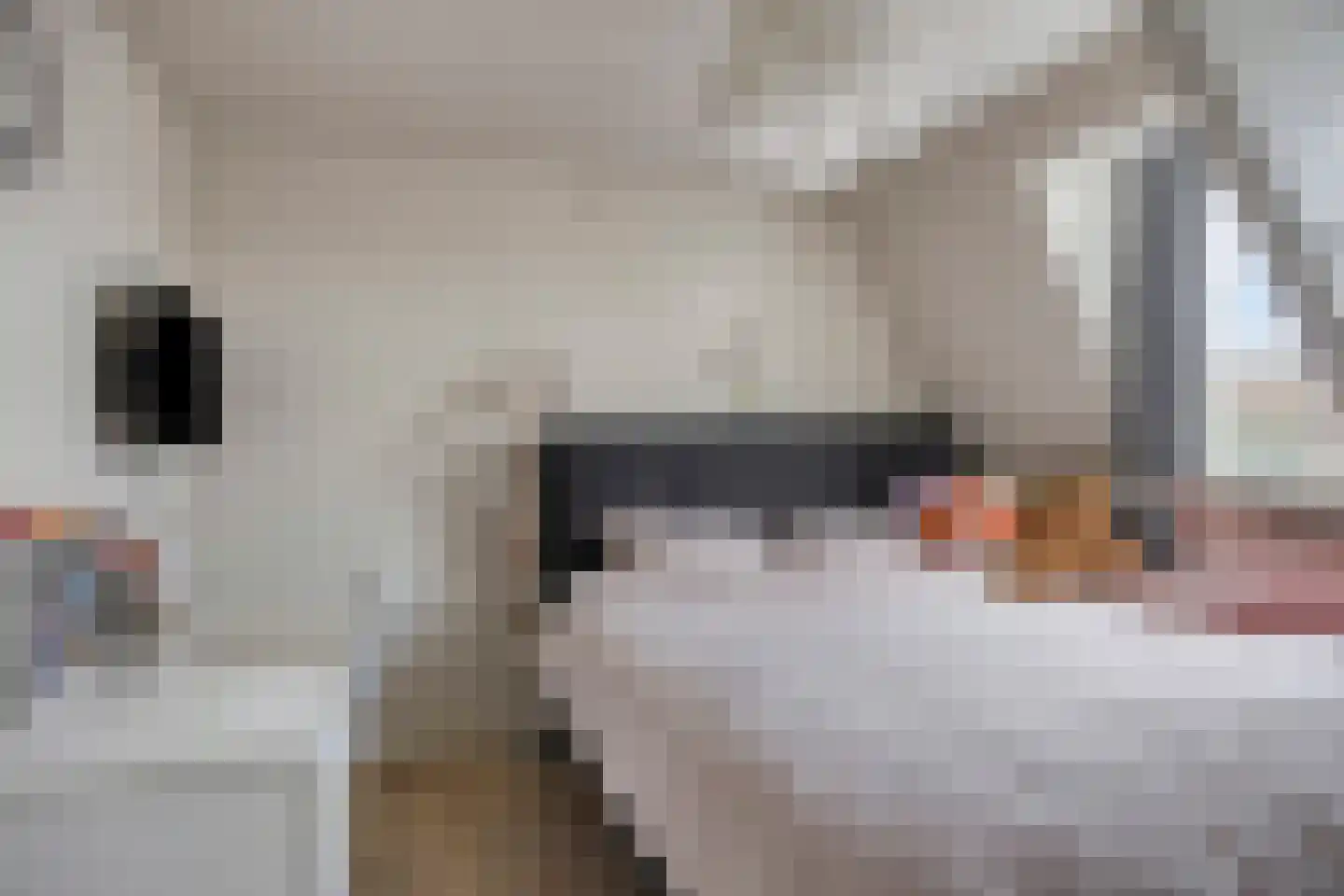 Boomstraat 94 Tilburg thumbnail 23