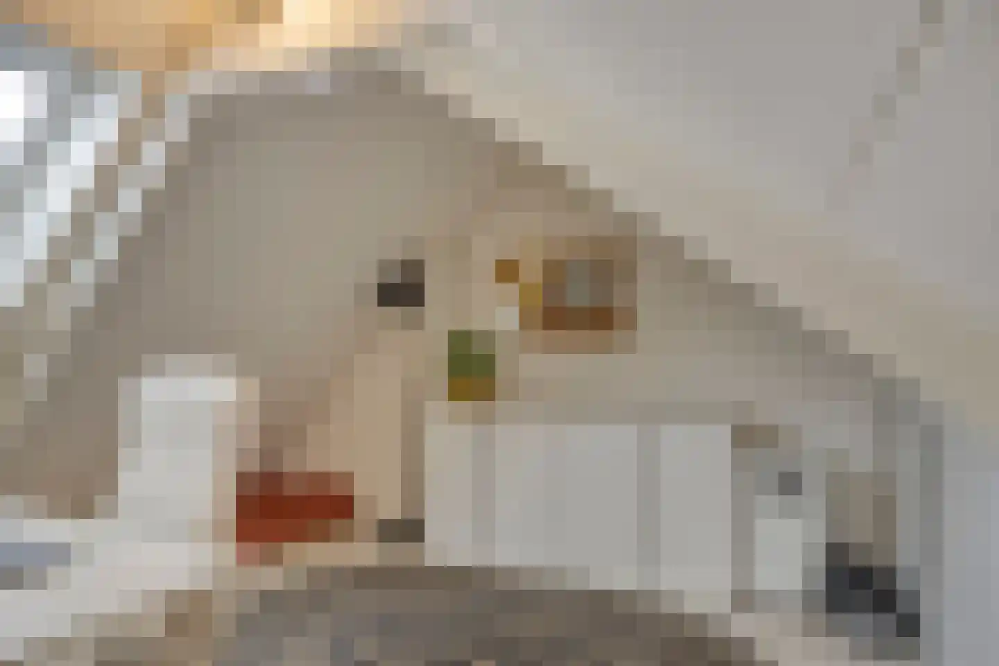 Boomstraat 94 Tilburg thumbnail 32