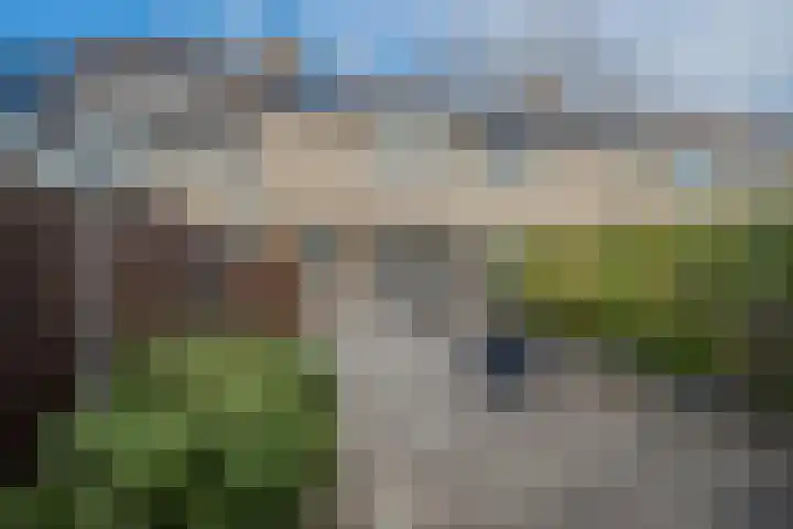 Boomsweg 1 Z121 Hoge Hexel thumbnail 14