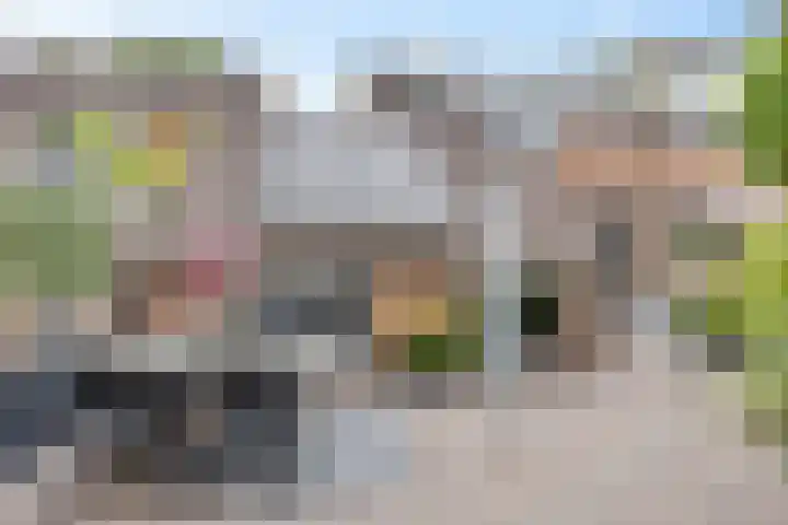 Boomsweg 1 Z121 Hoge Hexel thumbnail 15