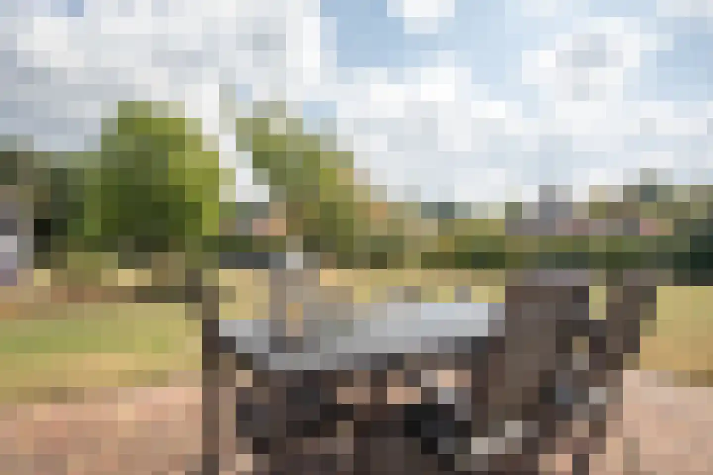 Boomsweg 1 Z121 Hoge Hexel thumbnail 37