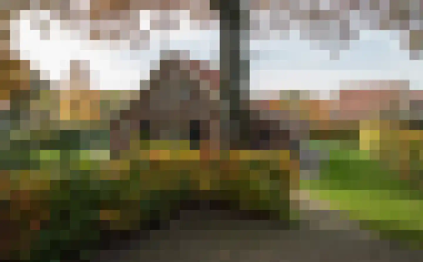 Boomsweg 1 Z130 Hoge Hexel