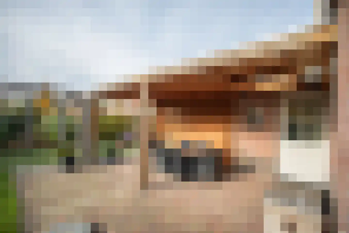 Boomsweg 1 Z130 Hoge Hexel thumbnail 30