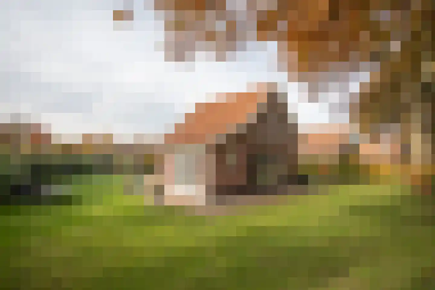 Boomsweg 1 Z130 Hoge Hexel thumbnail 31